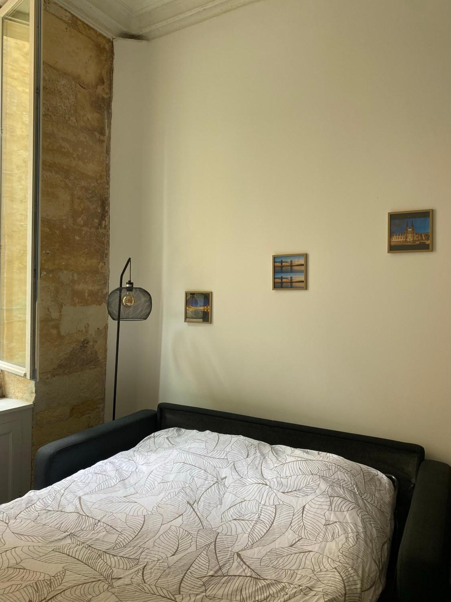 Bel Appartement Avec Mezzanine En Plein Centre De Бордо Экстерьер фото